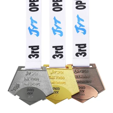 1045-1-Taekwondo Side Kick Medal