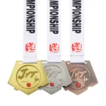 1045-2-Médaille du coup de pied latéral en Taekwondo