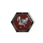 2517-2-Hexagonal Brain Competition Commemorative Coin